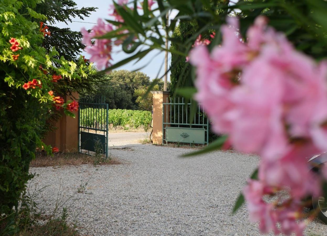 Maison D'Hotes Le Mas Des Vignes Hotel Rochegude  Exterior photo